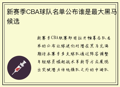 新赛季CBA球队名单公布谁是最大黑马候选